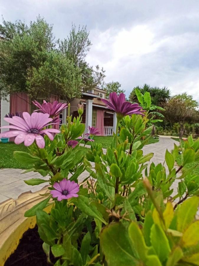 Demis Apartament